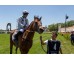  Carrera: P.Nertal Monta: V.Janacek Caballo: Tacarib Bay